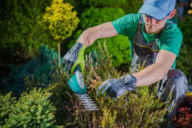 landscaping services Philadelphia